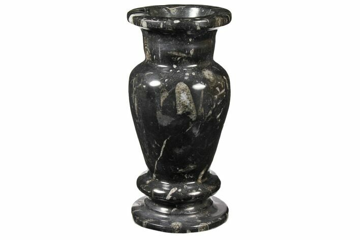 Limestone Vase With Orthoceras Fossils #122440